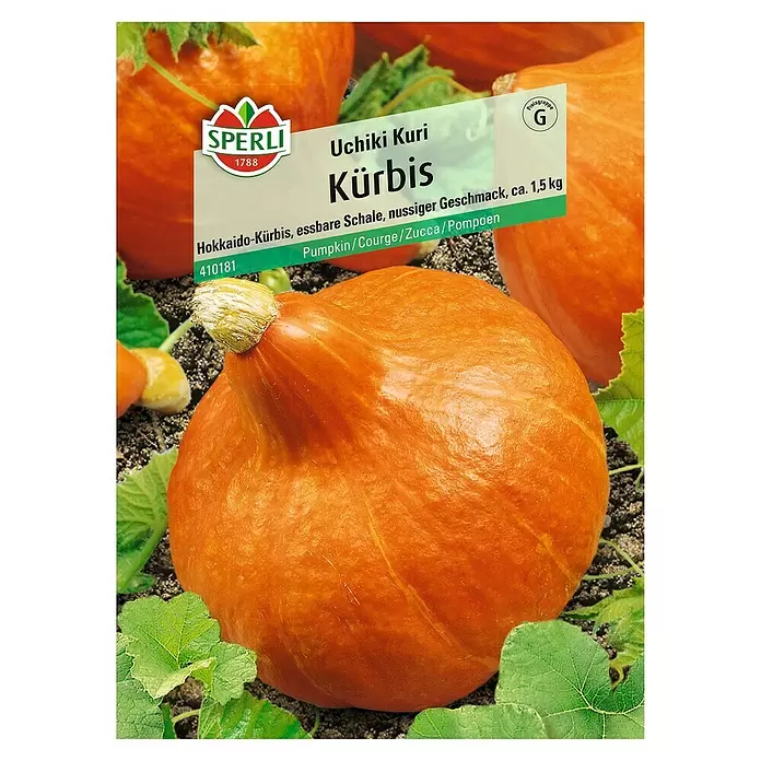 Sperli Gemüsesamen Kürbis - Uchiki Kuri, Cucurbita maxima, Erntezeit: September - Vorderansicht