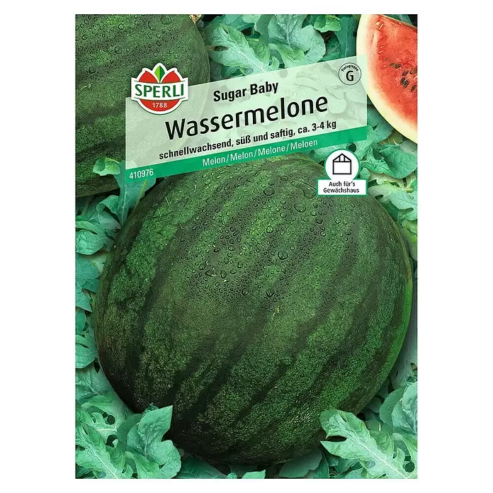 Sperli Obstsamen Wassermelone Sugar Baby - Citrullus lanatus, Erntezeit: August - Vorderansicht
