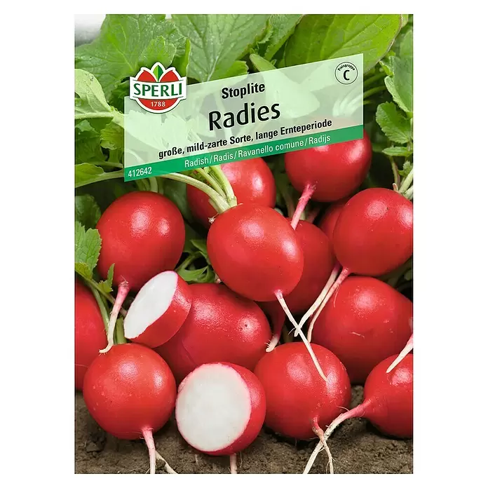 Sperli Gemüsesamen Radies - Stoplite, Raphanus sativus, Erntezeit: Juni - Vorderansicht