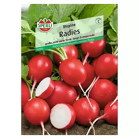 Sperli  Gemüsesamen Radies