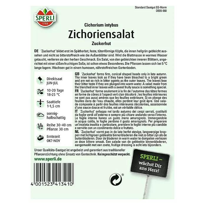 Sperli Salatsamen Zichoriensalat Zuckerhut - Cichorium intybus, Erntezeit: Oktober - Rückansicht