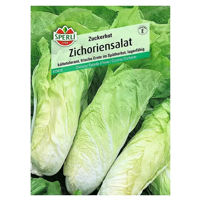 Sperli Salatsamen Zichoriensalat Zuckerhut - Cichorium intybus, Erntezeit: Oktober - Vorderansicht