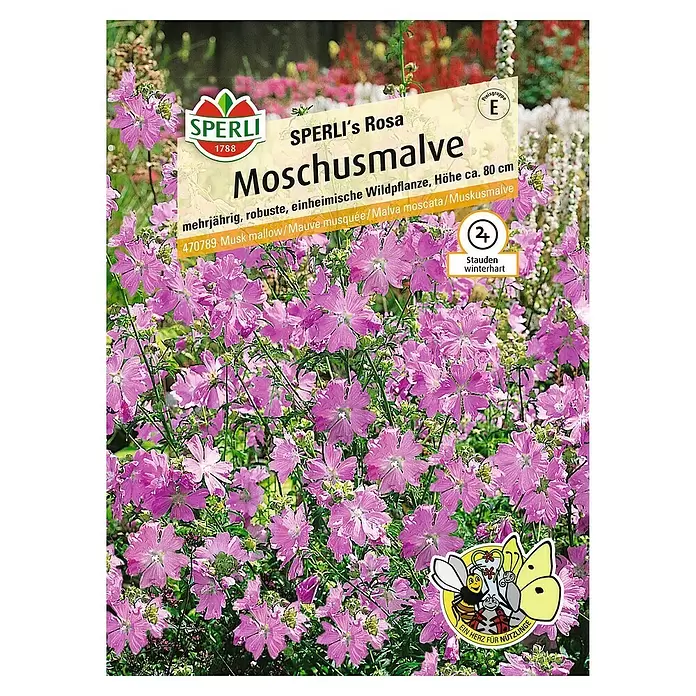 Sperli Blumensamen Moschusmalve - Malva moschata, Blütezeit: Juli - Vorderansicht