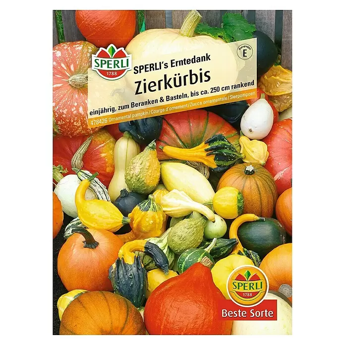 Sperli Saatgut Zierkürbis - Erntedank - Vorderansicht