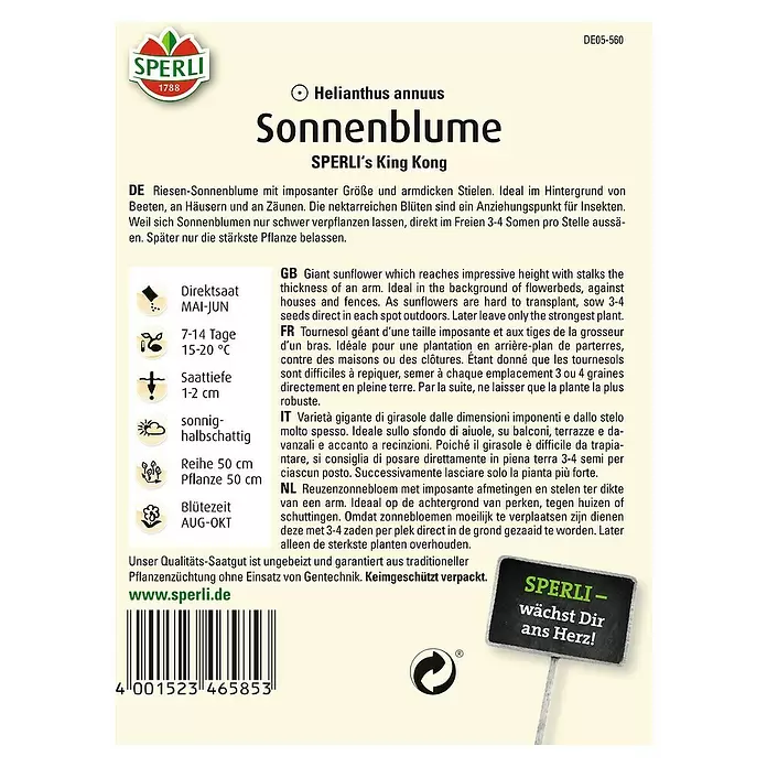 Sperli Blumensamen Sonnenblume - King Kong, Helianthus annuus, Blütezeit: August - Rückansicht