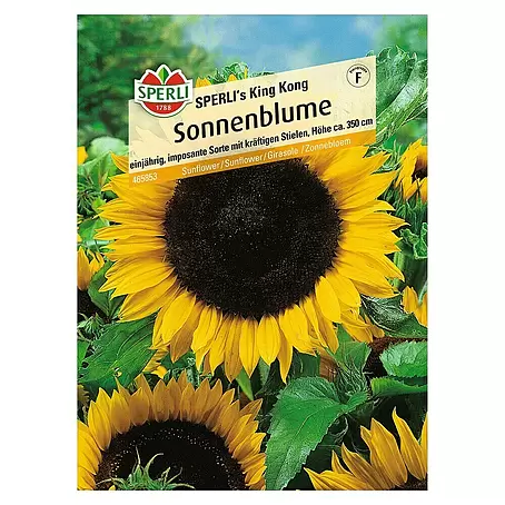 Sperli  Blumensamen Sonnenblume