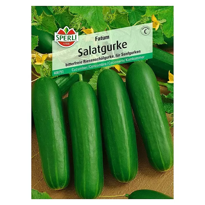 Sperli Gemüsesamen Salatgurke - Fatum, Cucumis sativus, Erntezeit: Juli - Vorderansicht
