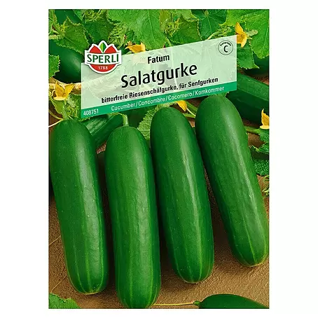 Sperli  Gemüsesamen Salatgurke