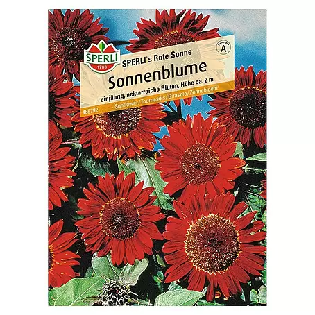 Sperli  Blumensamen Sonnenblume