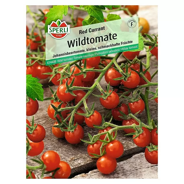 Sperli Gemüsesamen Wildtomate - Red Currant, Solanum lycopersicum, Erntezeit: Juli - Vorderansicht