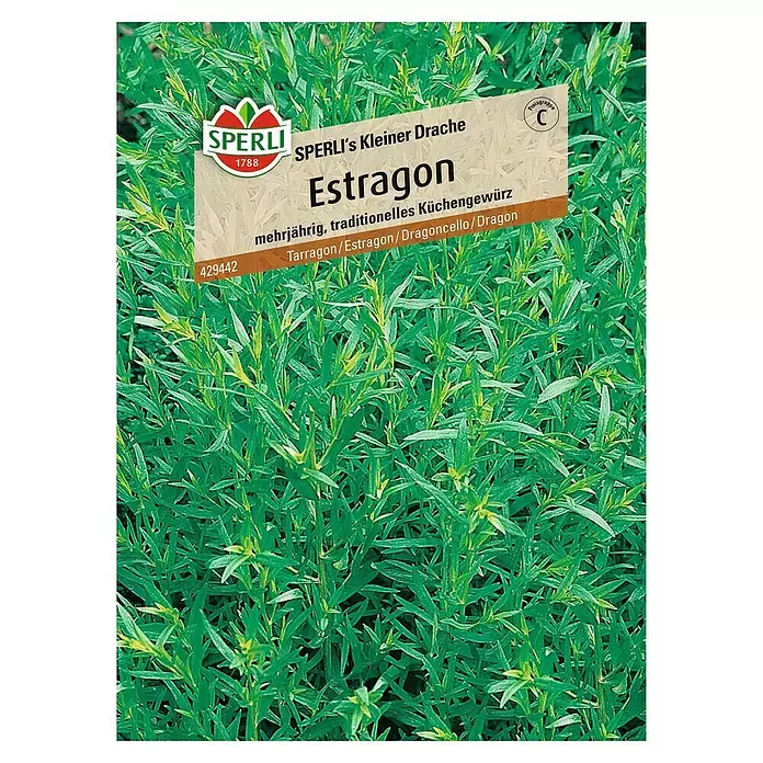 Sperli Kräutersamen Estragon Kleiner Drache - Artemisia dracunculus, Saatzeit: Mai, Erntezeit: Juli - Vorderansicht