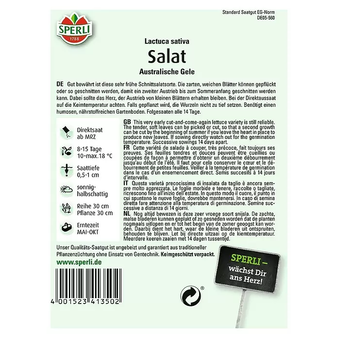 Sperli Salatsamen Pflücksalat - Australische Gele, Lactuca sativa, Erntezeit: Mai - Rückansicht