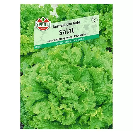 Sperli  Salatsamen Pflücksalat