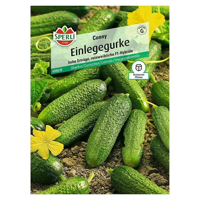 Sperli Gemüsesamen Einlegegurke - Conny, Cucumis sativus, Erntezeit: Juli - Vorderansicht