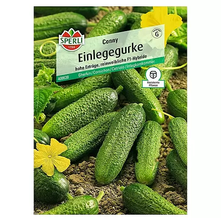 Sperli  Gemüsesamen Einlegegurke
