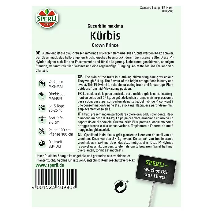 Sperli Gemüsesamen Kürbis - Crown Prince, Cucurbita maxima, Erntezeit: September - Rückansicht