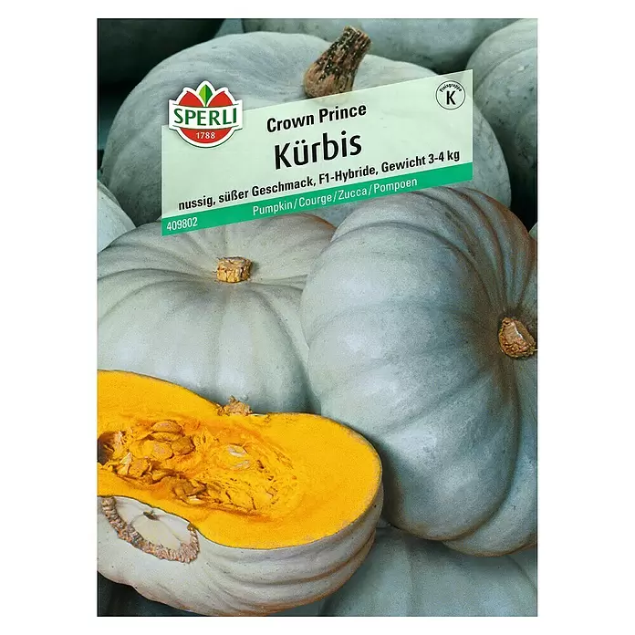Sperli Gemüsesamen Kürbis - Crown Prince, Cucurbita maxima, Erntezeit: September - Vorderansicht