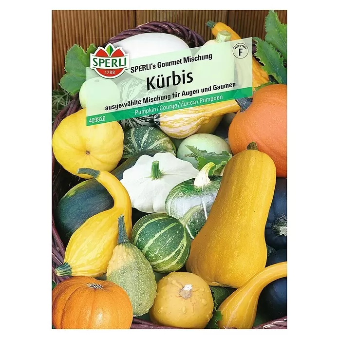 Sperli Gemüsesamen Kürbis - Gourmet Mischung, Cucurbita pepo, Erntezeit: September - Vorderansicht