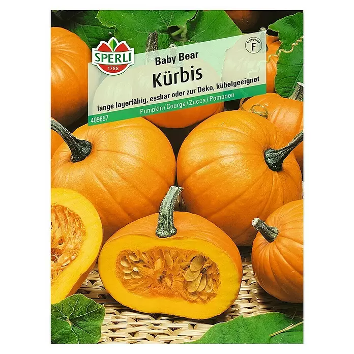 Sperli Gemüsesamen Kürbis - Baby Bear, Cucurbita pepo, Erntezeit: August - Vorderansicht