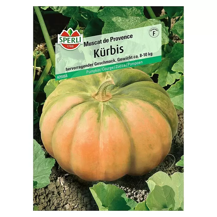 Sperli Gemüsesamen Kürbis - Muscat de Provence, Cucurbita moschata, Erntezeit: September - Vorderansicht