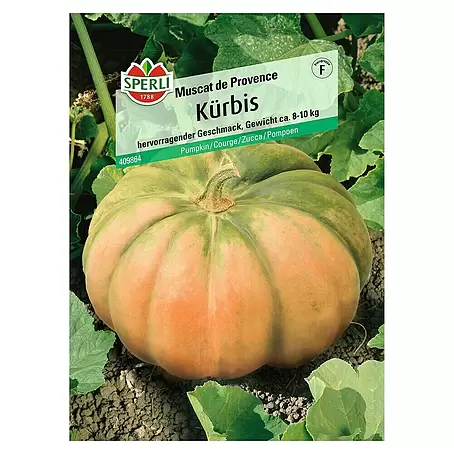 Sperli  Gemüsesamen Kürbis