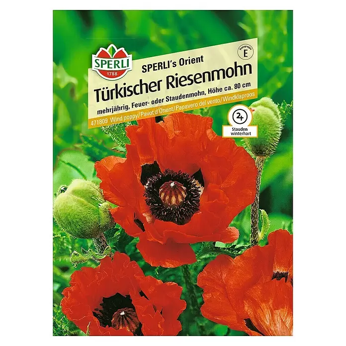Sperli Blumensamen Türkischer Riesenmohn - Papaver orientale, Blütezeit: Juli - Vorderansicht