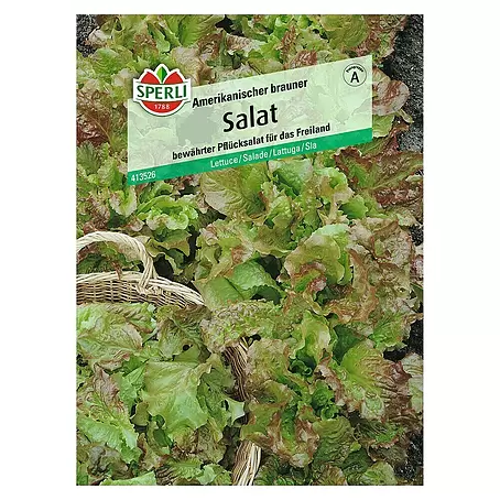 Sperli  Salatsamen Pflücksalat