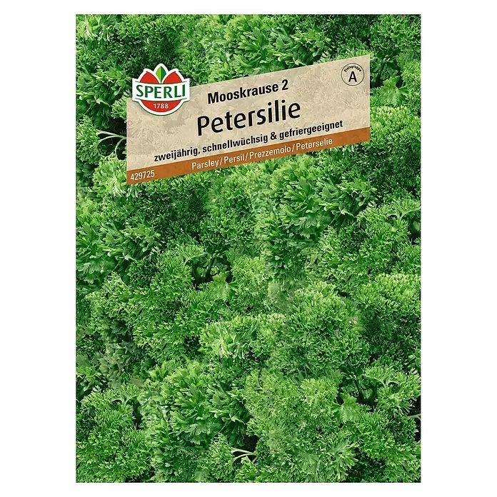 Sperli Kräutersamen Petersilie - Mooskrause 2, Petroselinum crispum, Saatzeit: März, Erntezeit: Ganzjährig - Vorderansicht