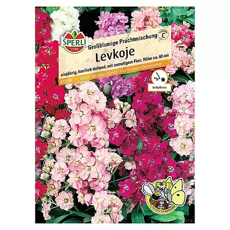 Sperli  Blumensamen Levkoje
