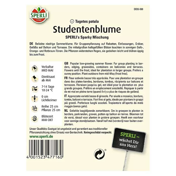 Sperli Blumensamen Studentenblume - Tagetes erecta, Blütezeit: Mai - Rückansicht