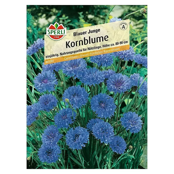 Sperli Blumensamen Kornblume - Leucanthemum vulgare, Blütezeit: Juni - Vorderansicht