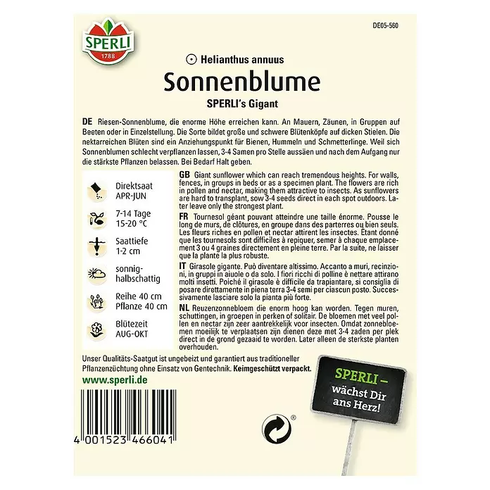 Sperli Blumensamen Sonnenblume - Sperli's Gigant, Helianthus annuus, Blütezeit: August - Rückansicht