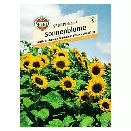 Sperli  Blumensamen Sonnenblume