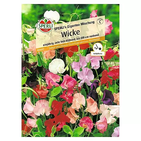 Sperli  Blumensamen Edelwicken