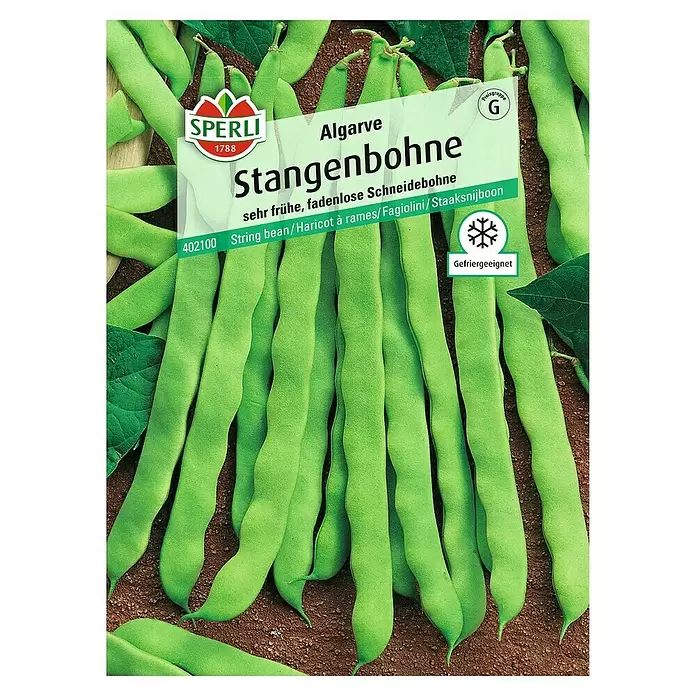 Sperli Gemüsesamen Stangenbohne - Algarve, Phaseolus vulgaris, Erntezeit: Juli - Vorderansicht