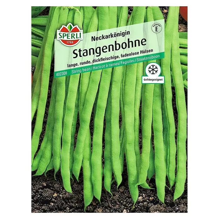 Sperli Gemüsesamen Stangenbohne - Neckarkönigin, Phaseolus vulgaris, Erntezeit: Juli - Vorderansicht