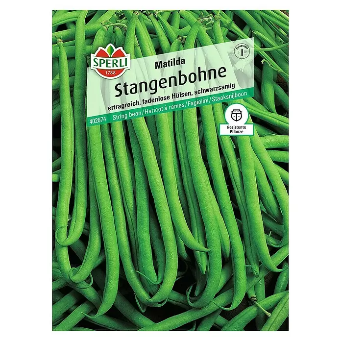 Sperli Gemüsesamen Stangenbohne - Matilda, Phaseolus vulgaris, Erntezeit: Juli - Vorderansicht