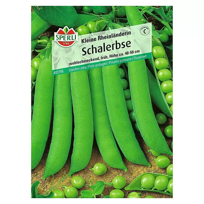 Sperli Gemüsesamen Schalerbse - Pisum sativum, Erntezeit: Juni - Vorderansicht