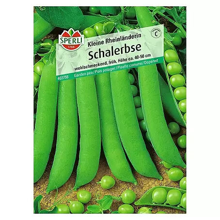 Sperli  Gemüsesamen Schalerbse