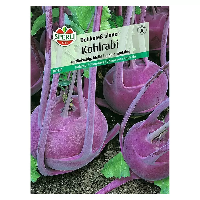Sperli Gemüsesamen Kohlrabi - Superschmelz, Brassica oleracea, Erntezeit: Juni - Vorderansicht