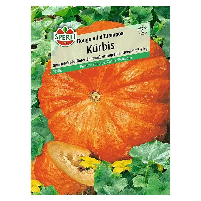 Sperli Gemüsesamen Kürbis - Rouge vif d'Etampes, Cucurbita maxima, Erntezeit: September - Vorderansicht