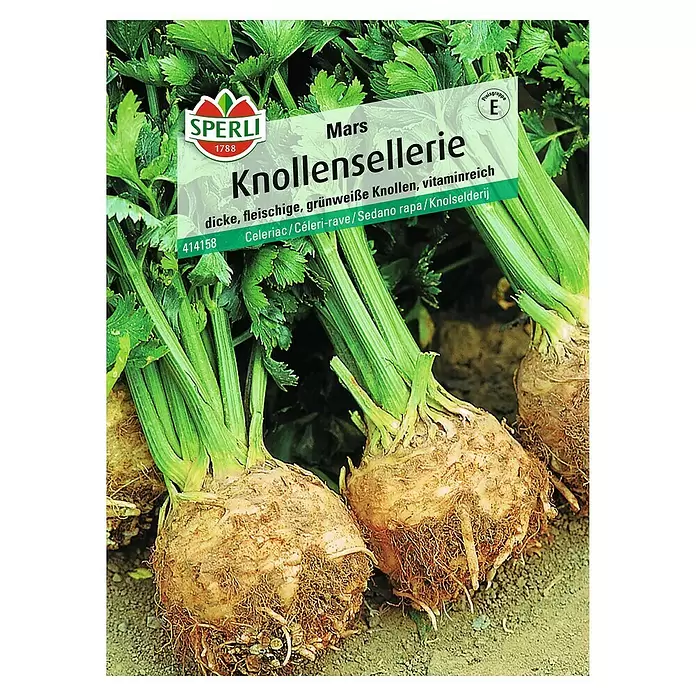 Sperli Gemüsesamen Knollensellerie - Apium graveolens, Erntezeit: September - Vorderansicht
