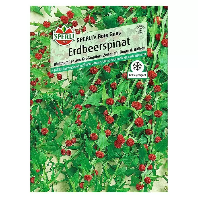 Sperli Obstsamen Erdbeerspinat - Chenopodium foliosum, Erntezeit: Juni - Vorderansicht