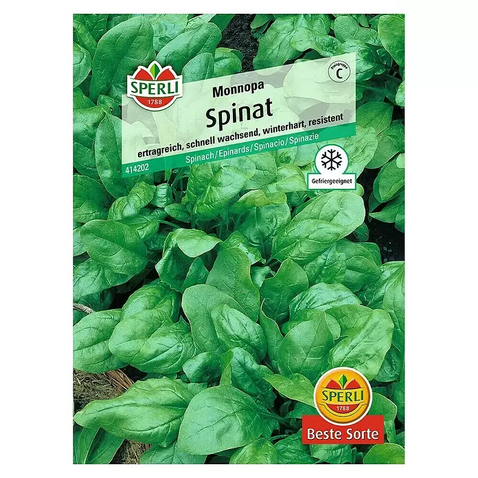 Sperli Gemüsesamen Spinat - Tetragonia tetragonioides, Erntezeit: April - Vorderansicht
