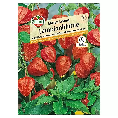 Sperli  Blumensamen Lampionblume