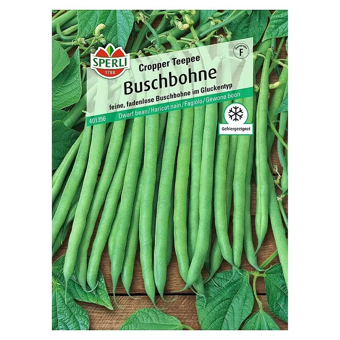 Sperli Gemüsesamen Buschbohne - Copper Teepee, Phaseolus vulgaris var. nanus, Erntezeit: Juli - Vorderansicht