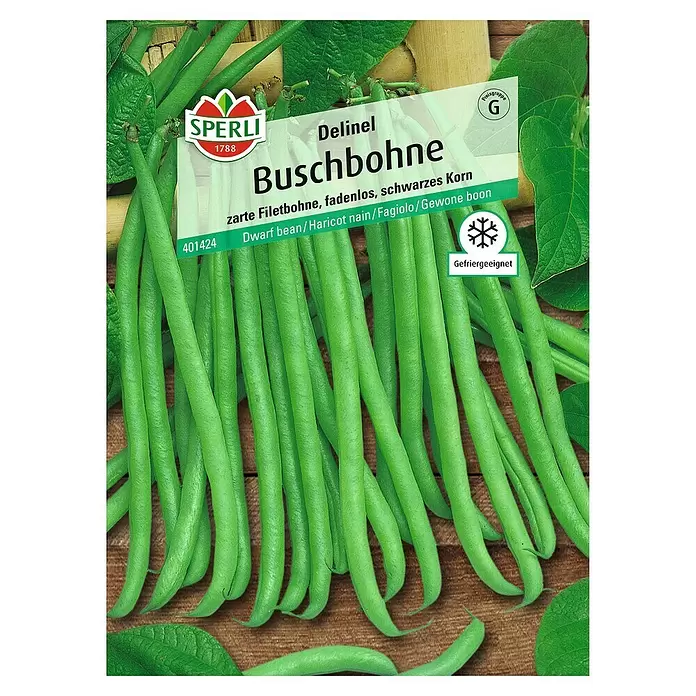 Sperli Gemüsesamen Buschbohne - Delinel, Phaseolus vulgaris var. nanus, Erntezeit: Juli - Vorderansicht
