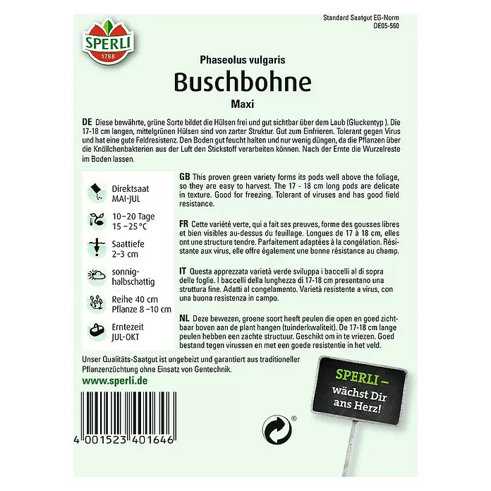 Sperli Gemüsesamen Buschbohne - Maxi, Phaseolus vulgaris var. nanus, Erntezeit: Juli - Rückansicht
