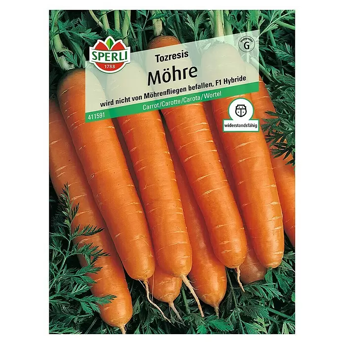 Sperli Gemüsesamen Möhre - Tozresis, Daucus carota, Erntezeit: August - Vorderansicht