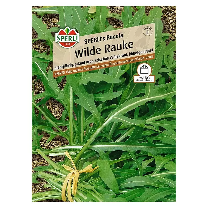 Sperli Kräutersamen Wilde Rauke - Diplotaxis tenuifolia, Saatzeit: März, Erntezeit: Ganzjährig - Vorderansicht